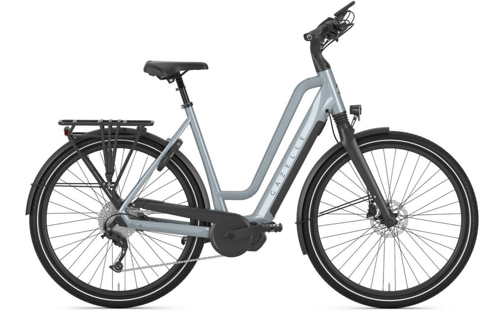Gazelle Chamonix T10 HMS – 630 Wh – 28 Zoll – Tiefeinsteiger – 2024