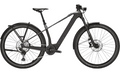 BULLS SONIC SX DAKAR - 29 Zoll 400Wh 12K Diamant - monza grey / UD carbon