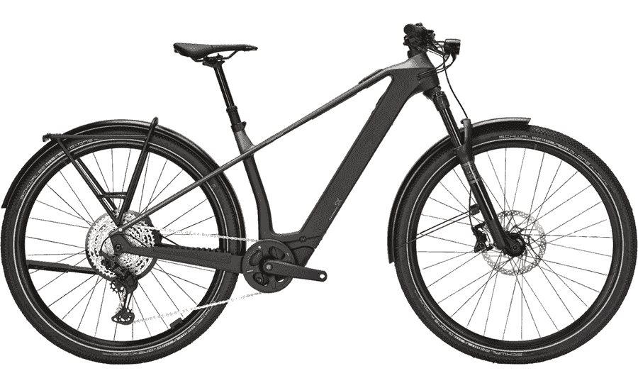 BULLS SONIC SX DAKAR - 29 Zoll 400Wh 12K Diamant - monza grey / UD carbon