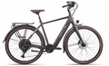 HERCULES Urbanico I-10 - 28 Zoll 410Wh 10K Diamant - nutria gold-matt