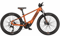 KTM MACINA MINI ME SX 24 - 24 Zoll 400Wh 8K Diamant - burnt orange (dark orange+orange)