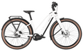 BULLS STURMVOGEL EVO - 29 Zoll 800Wh 5N Trapez - metallic off-white