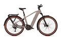 Kalkhoff ENTICE 5+ ADVANCE - 29 Zoll 800Wh 11K Diamant - moonstonegrey matt