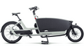 Urban Arrow FamilyNext² Pro - 20 / 26 Zoll 800Wh Enviolo Lastenrad - grün