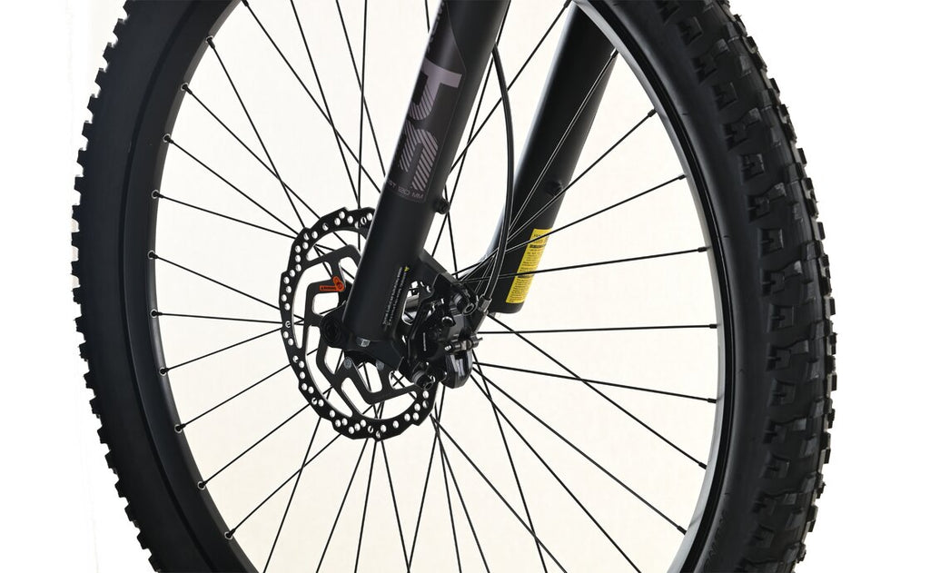 Carver Strict E.400 LTD - 400 Wh - 29 Zoll - Diamant