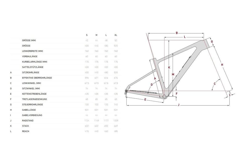 Focus Raven 8.7 – 29 Zoll – Diamant – 2025