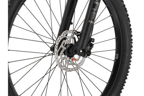 Carver Strict E.510 – 500 Wh – 29 Zoll – Diamant