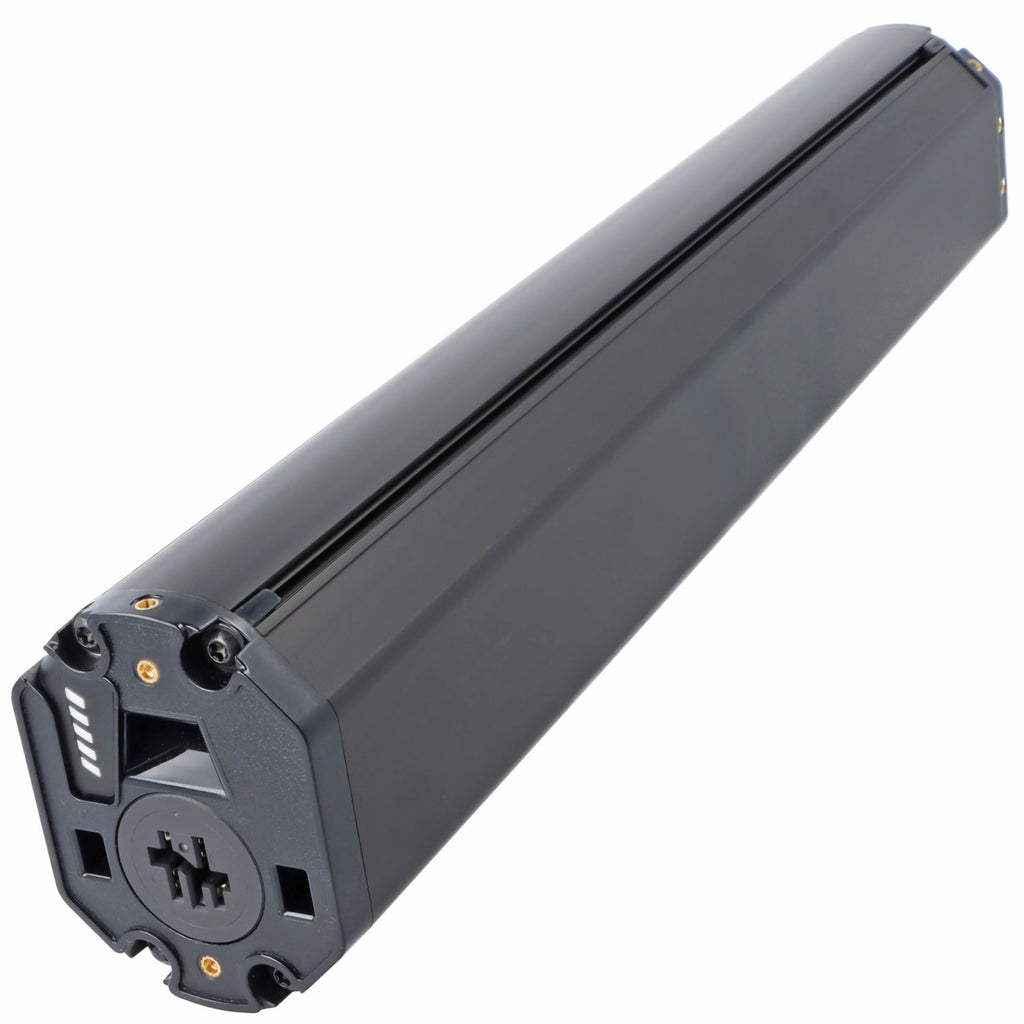 Bosch PowerTube 625 Akku (BBP3761) VERTIKAL – Das smarte System