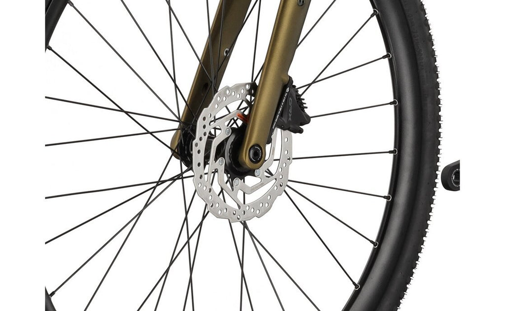 Carver Gravel 220 – 28 Zoll – Diamant – 2025
