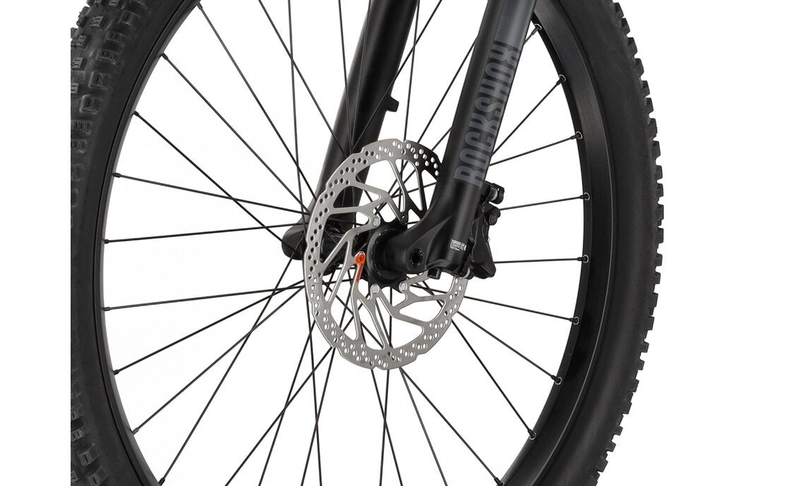 Carver Drift E.520 - B-Ware - 625 Wh - 29 Zoll - Fully
