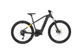 Carver Strict E.510 - B-Ware - 500 Wh - 29 Zoll - Diamant