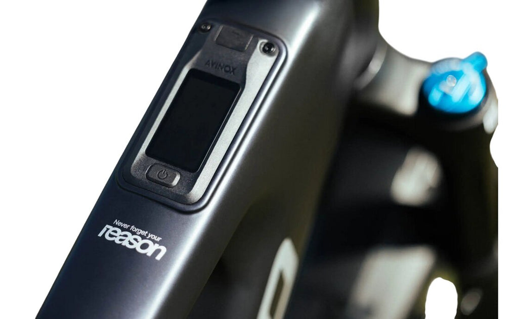 Megamo Reason AL 07 - 800 Wh - 29 Zoll - Fully