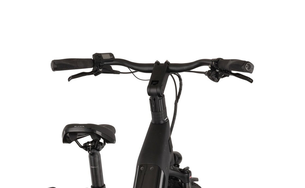 Kettler Quadrano Lite 11 Carbon - 640 Wh - 28 Zoll - Tiefeinsteiger