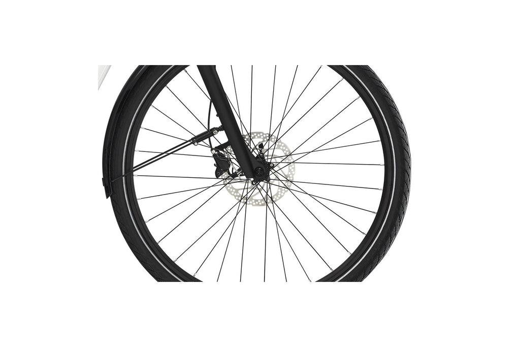 Diamant Beryll Deluxe+ – 500 Wh – 28 Zoll – Tiefeinsteiger